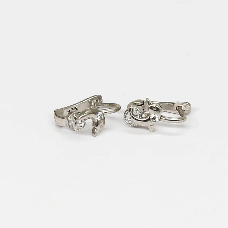 earrings-CT8A5616.webp